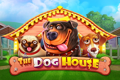 The Dog House слот онлайн Слотомен Казино